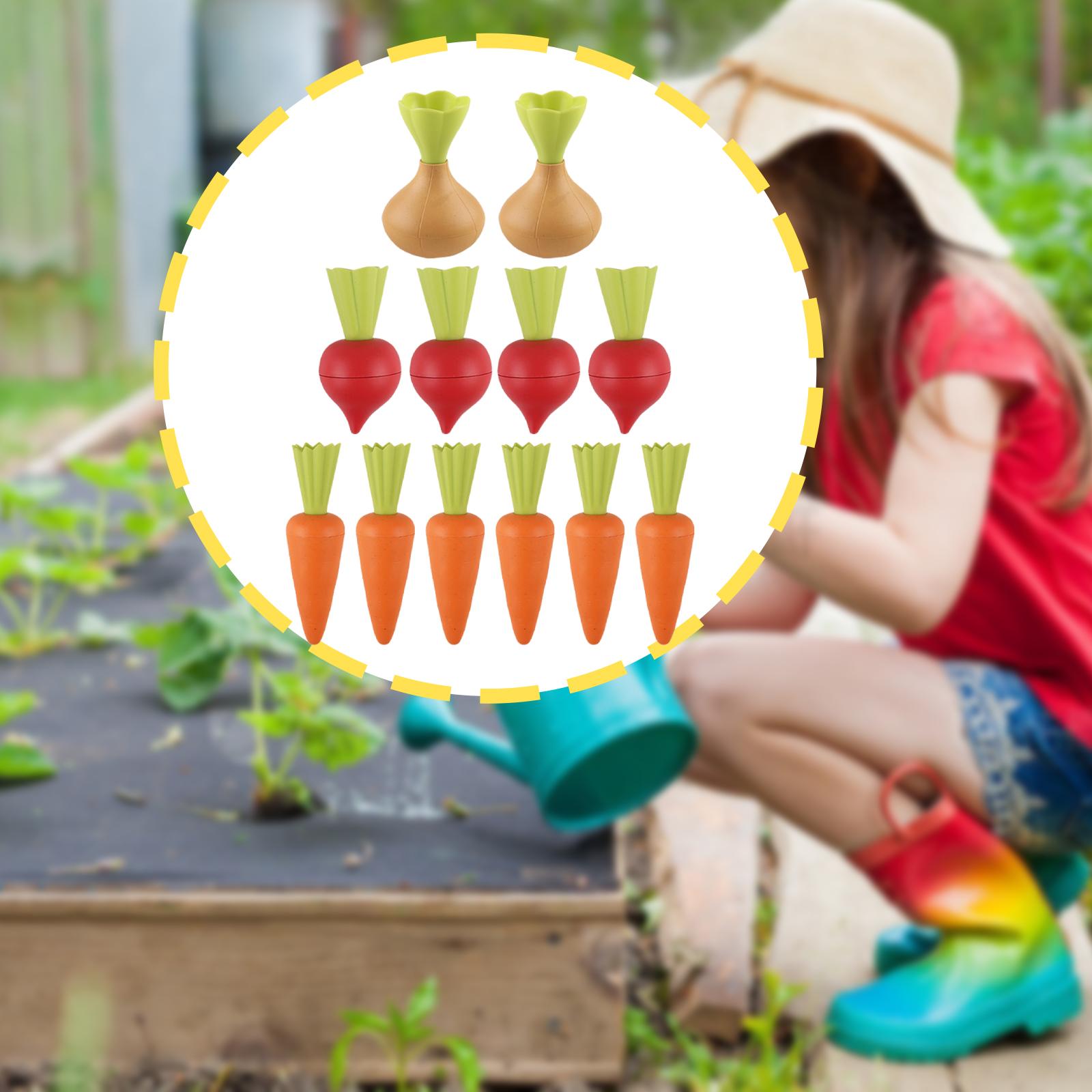 Mainan Pantai Hadiah Ideal Nya - Kids Unique Outdoor Toys ulasan dan harga